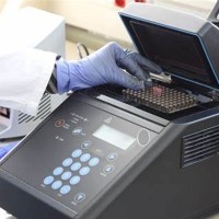 PCR滤光片解决方案