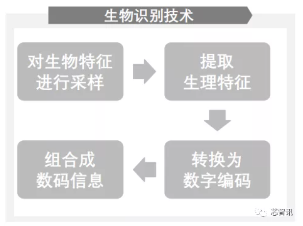 激埃特光电