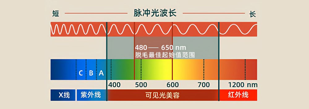 脱毛仪