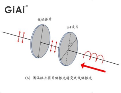 线偏振光