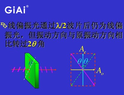 线偏振光原理