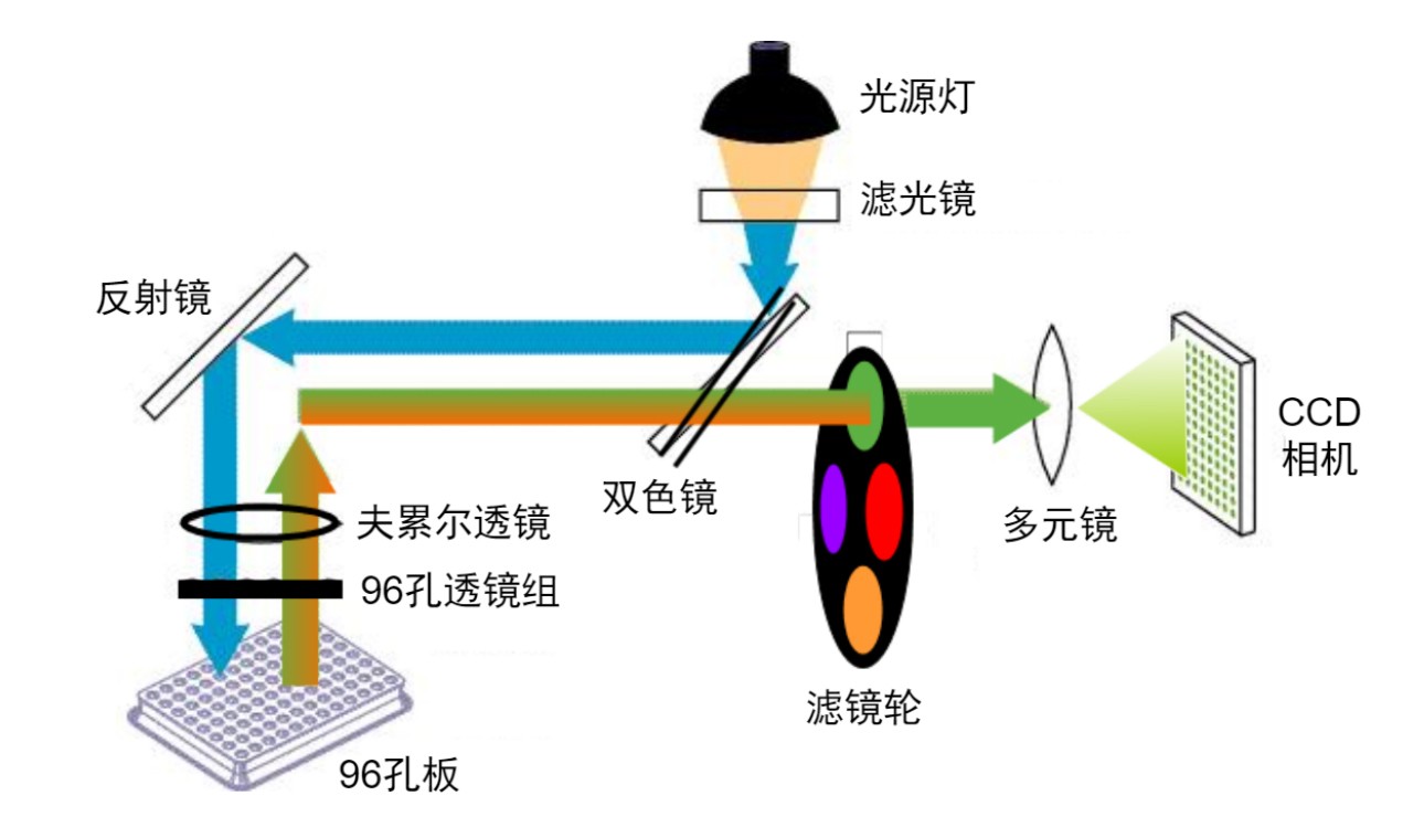 荧光定量PCR光路图